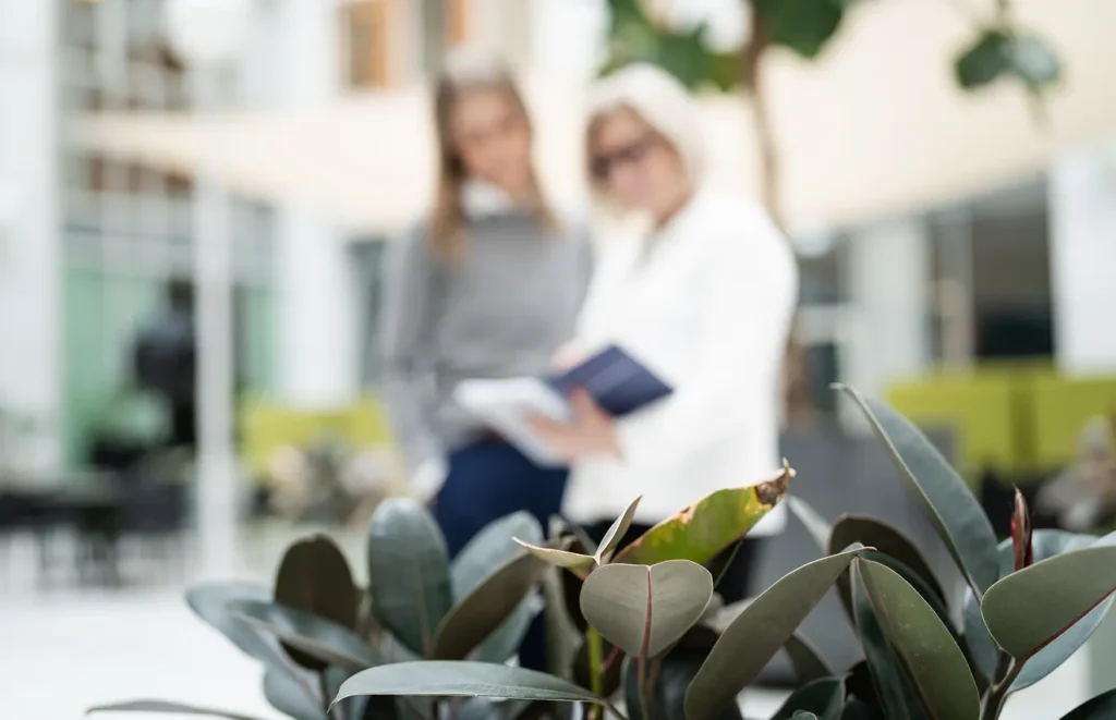 En dekorativ bild med fokus på en växt inne i en lobby. I bakgrunden skymtas två kvinnor som står och tittar ner i ett anteckningsblock.