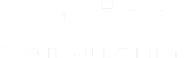 AdWise consulting logotyp vit